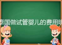 泰國做試管嬰兒的費(fèi)用明細(xì)公開，一次大概花20萬左右