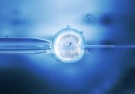 泰國哪家醫院是試管嬰兒最強大的醫院?這五家公司最受歡迎