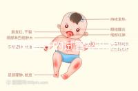 泰國最好的試管嬰兒醫(yī)院(泰國最好的試管嬰兒醫(yī)院是哪個(gè))