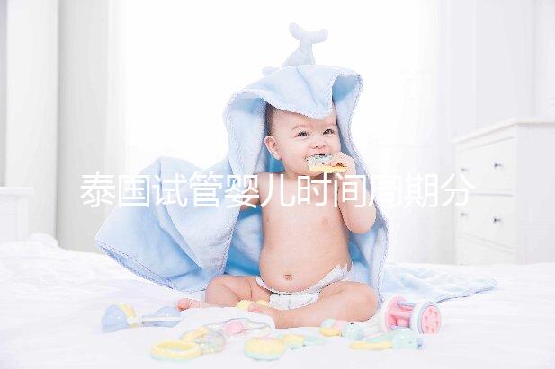 泰國試管嬰兒時間周期分析:附成功率介紹