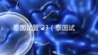 泰國試管 23(泰國試管 23對(duì))