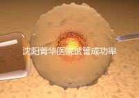 沈陽菁華醫(yī)院試管成功率高嗎？教你4招提升胚胎著床機(jī)會(huì)