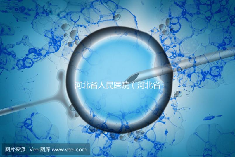 河北省人民醫(yī)院(河北省人民醫(yī)院官網(wǎng))