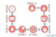 深圳最新獨生子女政策已出爐,羅湖、南山區(qū)補貼金均有提高