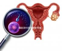 清甜滋補的桂圓銀耳羹，孕婦食用不再擔(dān)心上火