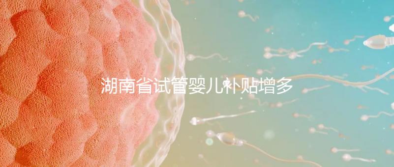 湖南省試管嬰兒補(bǔ)貼增多?專家:未來或?qū)⒓{入醫(yī)保