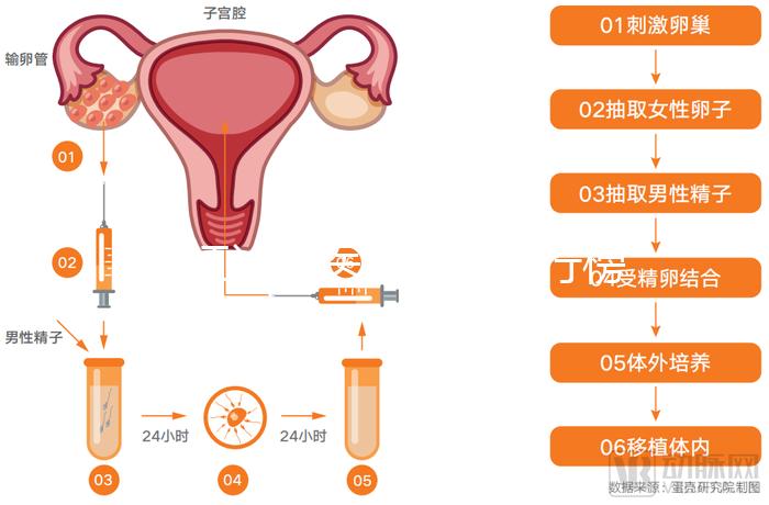 湛江試管醫(yī)院前十排行榜，久和醫(yī)院vs廣醫(yī)附院誰好一覽了然