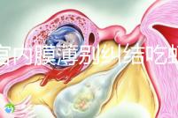 子宮內(nèi)膜薄別糾結(jié)吃蝦可不可以補(bǔ)上來(lái)了,效果好壞一看便知