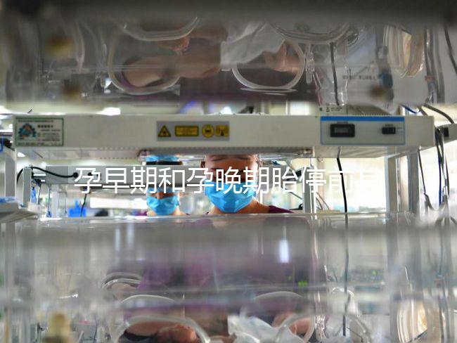 孕早期和孕晚期胎停前其實都有暗示信號，身體不會騙人