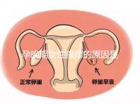 孕晚期女性瘙癢的原因是什么?