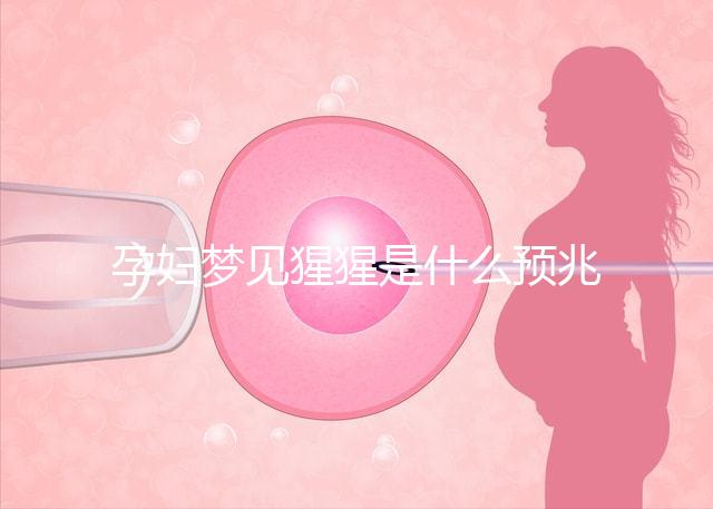 孕婦夢見猩猩是什么預兆？帶你了解相關胎夢解讀