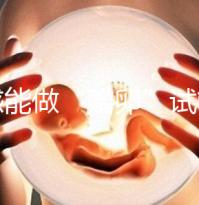 孝感能做“贈(zèng)卵”試管嬰兒?jiǎn)幔繃鴥?nèi)合法這些醫(yī)院就能做