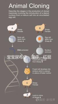寶寶尿布疹、濕疹、紅屁股傻傻分不清？4點(diǎn)區(qū)別輕松診斷