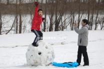 大家都來看看第二次促排卵懷孕的幾率，成功率高不高都總結了一下