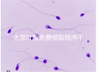 太原葉酸免費(fèi)領(lǐng)取程序不難,@準(zhǔn)媽媽們:小店區(qū)這里可領(lǐng)