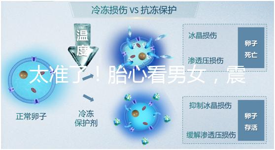 太準了！胎心看男女，震驚結果大于150就一定是女孩