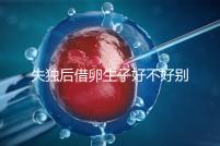 失獨(dú)后借卵生子好不好別還不造,供卵or領(lǐng)養(yǎng)過來(lái)人感受更深