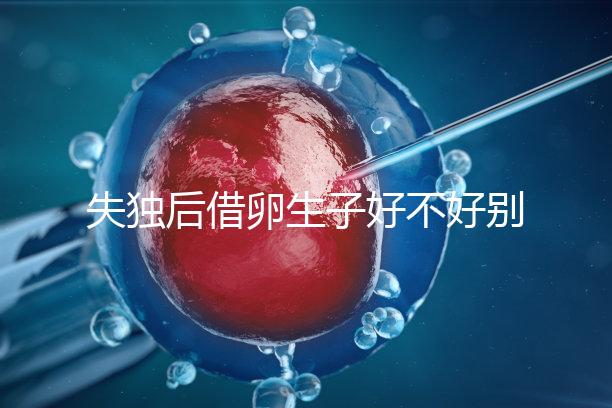 失獨(dú)后借卵生子好不好別還不造,供卵or領(lǐng)養(yǎng)過來人感受更深