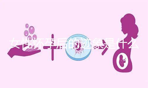 女性懷孕后的跡象是什么？