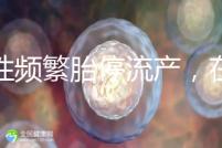 女性頻繁胎停流產,在拖“后腿”可能是精子碎片率