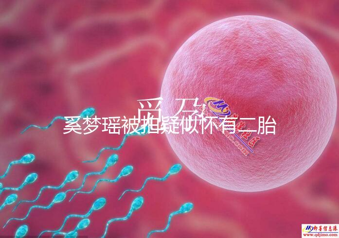 奚夢(mèng)瑤被拍疑似懷有二胎，四太陪同產(chǎn)檢未見何猷君