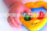 如何判斷供精試管嬰兒離婚，會(huì)不會(huì)一目了然地判給女方？