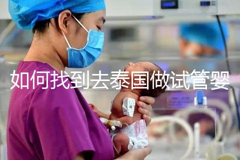 如何找到去泰國做試管嬰兒的本地翻譯？內部搜索可靠的本地翻譯方法分析