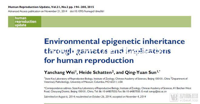 如何收取武漢同濟(jì)醫(yī)院的養(yǎng)囊費(fèi)？查看最新試管費(fèi)用明細(xì)估算？