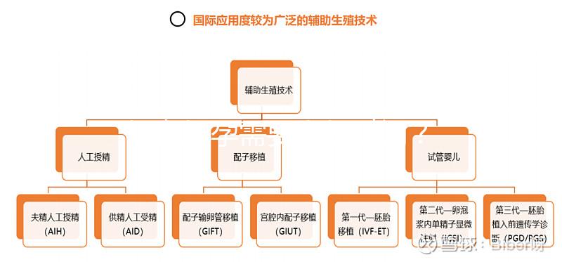 婦女懷孕需要多長時間？
