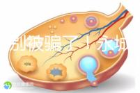 當(dāng)心別被騙了！永城市目前真的還不能做試管嬰兒