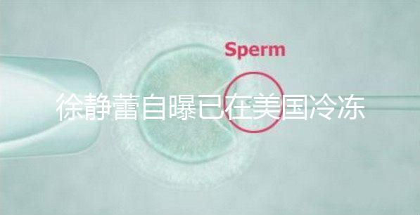 徐靜蕾自曝已在美國冷凍卵子!坦言將來會做試管嬰兒