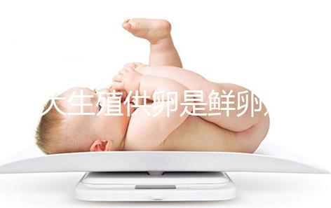 山大生殖供卵是鮮卵還是凍卵分情況，別還不清楚質量如何