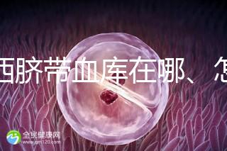 山西臍帶血庫在哪、怎么保存答案在這，太原存20年費用竟…
