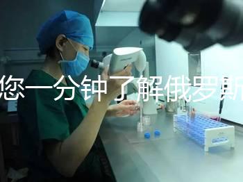 帶您一分鐘了解俄羅斯試管中心的費用明細，快速收集！