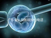 廣東省人民醫(yī)院預(yù)約電話(廣東省人民醫(yī)院預(yù)約電話是多少)