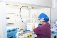 并沒有想象的那么簡(jiǎn)單,揭秘試管胚胎移植全過程(9圖)