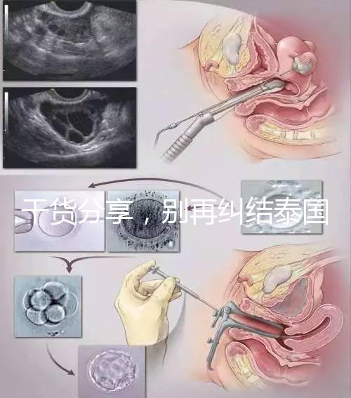 干貨分享,別再糾結(jié)泰國試管結(jié)婚證公證書要不要泰語了!