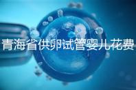 青海省供卵試管嬰兒花費(fèi)明細(xì)表一覽，一次成功助孕費(fèi)用最低