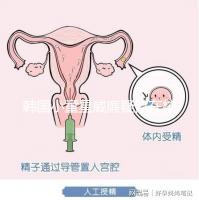 韓國(guó)小童星威廉疑似在校被霸凌?父親Sam辟謠:凹高冷人設(shè)