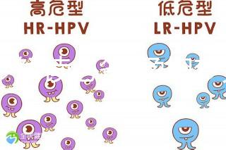 胎夢解讀必備!孕婦夢見鴿子所象征的含義介紹
