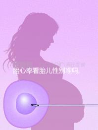 胎心率看胎兒性別準(zhǔn)嗎,因為這3種情況所以不行