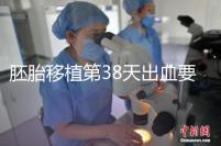 胚胎移植第38天出血要重視,約30%的孕婦會有流產(chǎn)風險