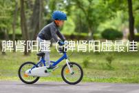 脾腎陽(yáng)虛(脾腎陽(yáng)虛最佳中成藥)