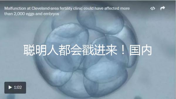 聰明人都會戳進來!國內試管嬰兒和泰國試管嬰兒優缺對比