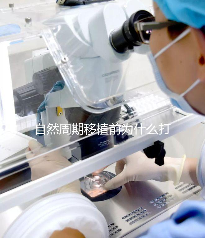 自然周期移植前為什么打絨促？作用不僅是提升妊娠率