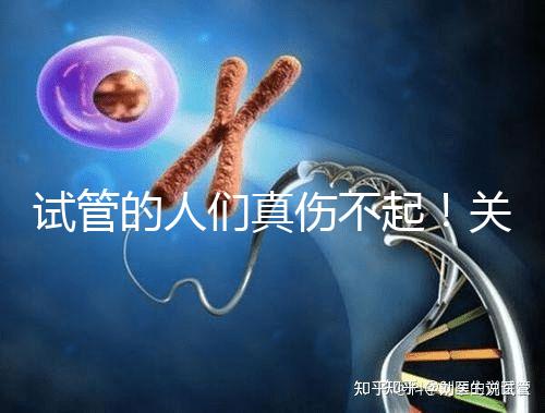 試管的人們真傷不起！關于養囊的成功率這些你得知道