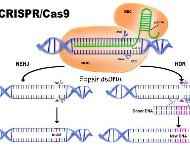 試管移植第39天出血需警惕!3招讓你與流產(chǎn)說拜拜