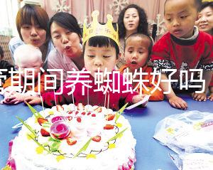 試管期間養蜘蛛好嗎？人們告訴你，這些影響應該早知道