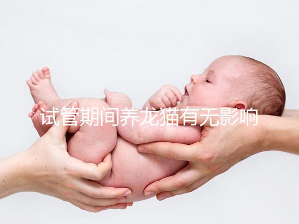 試管期間養(yǎng)龍貓有無影響剖析，是否胎停、流產(chǎn)取決這幾點