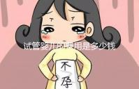 試管嬰兒的費(fèi)用是多少錢(試管嬰兒的費(fèi)用是多少錢?)